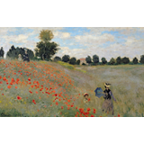 THE POPPY FIELD